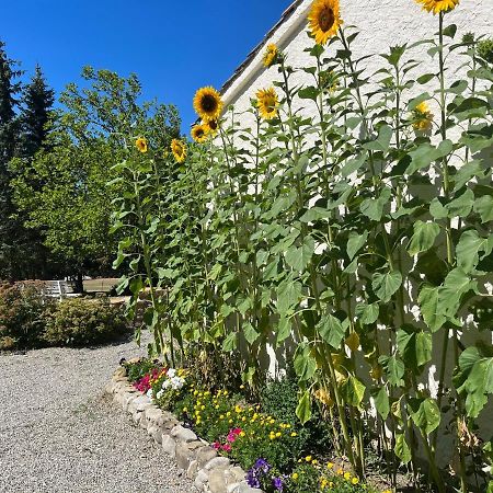 Le Cheval Blanc Bed and Breakfast Serres  Exterior foto