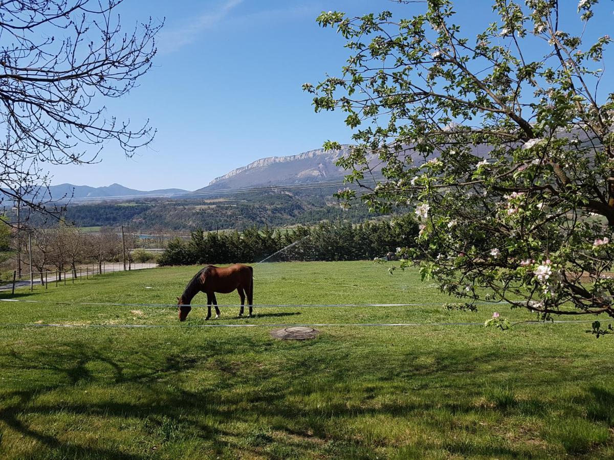 Le Cheval Blanc Bed and Breakfast Serres  Exterior foto