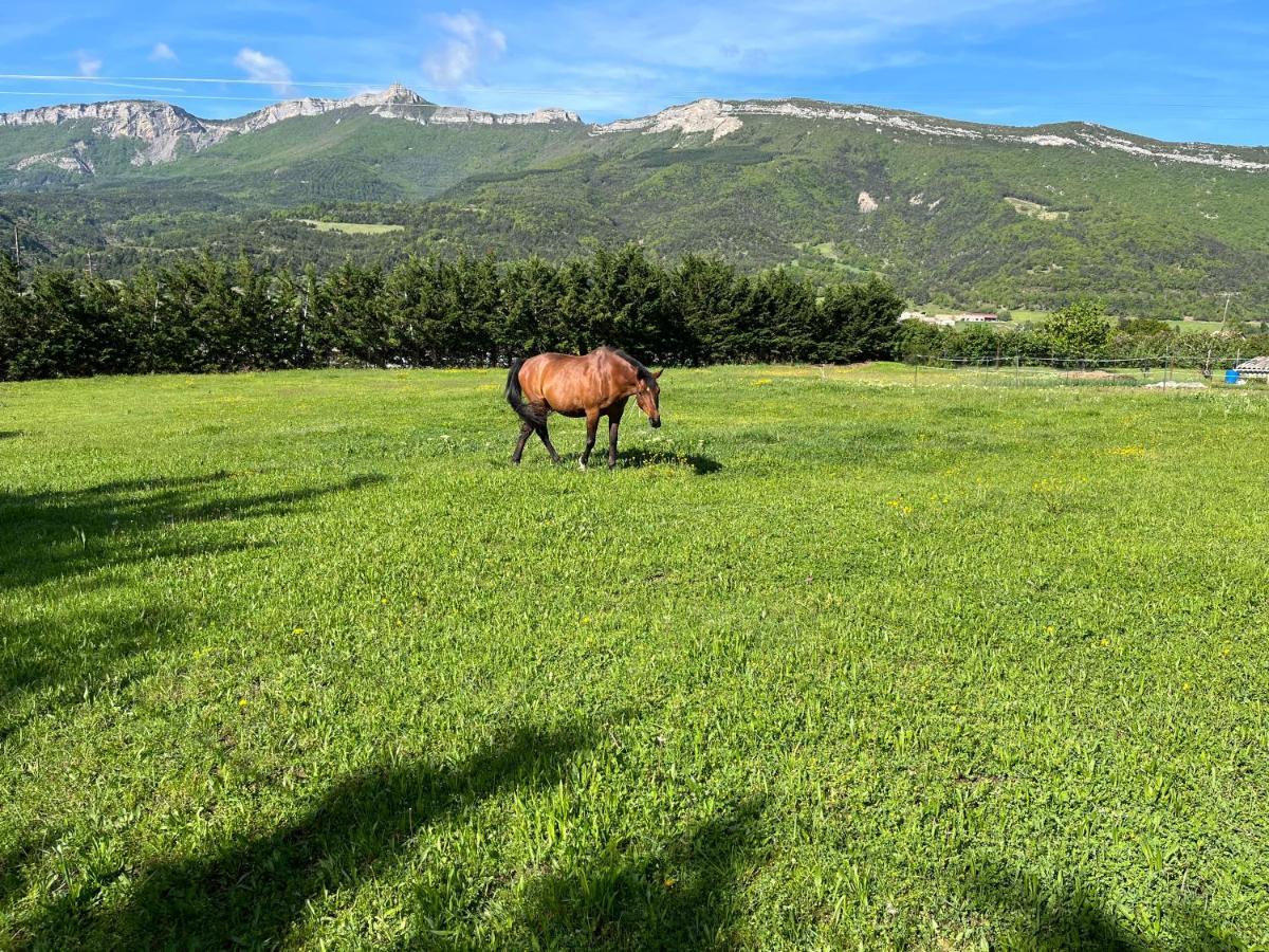 Le Cheval Blanc Bed and Breakfast Serres  Exterior foto